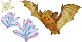 秘林好朋友紙膠帶